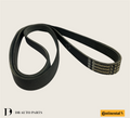 CONTINENTAL CTAM MERCEDES BENZ C-CLASS W204 W205 C300 E-CLASS W212 W213 M274 FAN BELT(0039933900)(0029931296)(6PK1705)