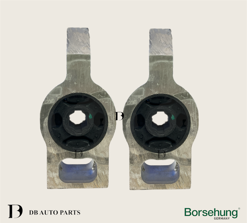 BORSEHUNG AUDI Q3 VOLKSWAGEN PASSAT SHARAN TIGUAN LOWER ARM BUSH SET / 2PCS 	(3C0199231E)(1006100014)(B11353)