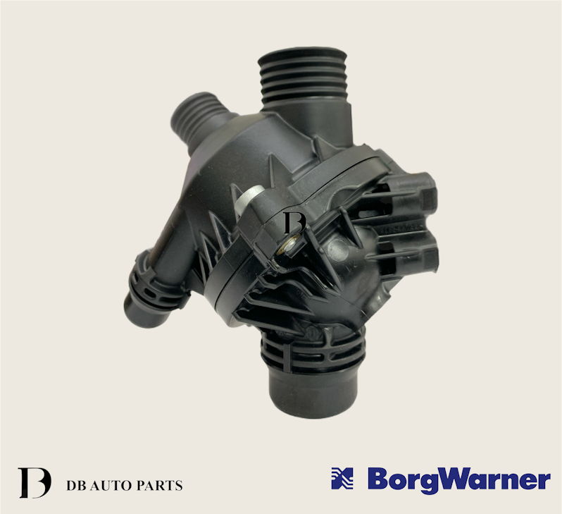 BORG WARNER (WAHLER) BMW E90 325i E60 F10 523i 525i THERMOSTAT  (410086.97D0)(11537549476)