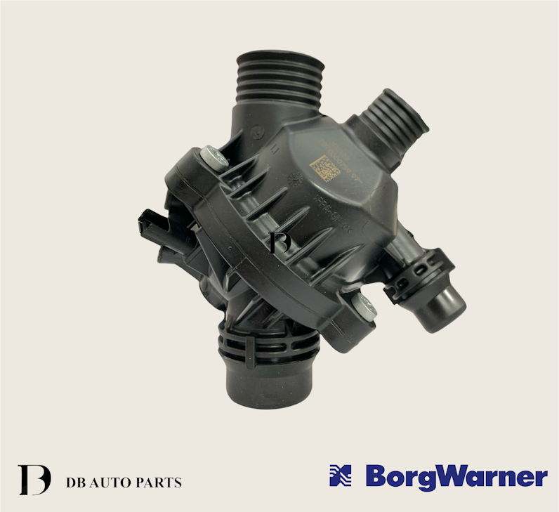 BORG WARNER (WAHLER) BMW E90 325i E60 F10 523i 525i THERMOSTAT  (410086.97D0)(11537549476)