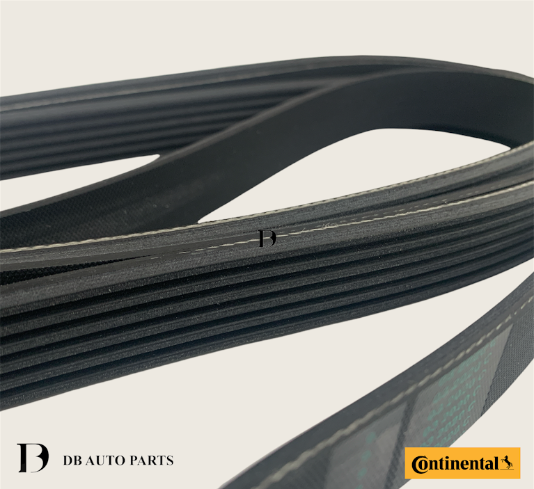 CONTINENTAL CTAM MERCEDES BENZ C-CLASS W203 W204 E-CLASS W212 W211 M-CLASS W163 W164 FAN BELT  (6PK2390)(0119978792)