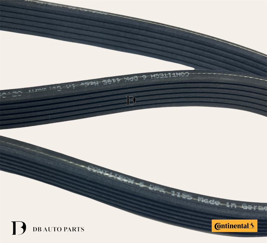 CONTINENTAL CTAM FAN BELT AUDI TT 1.8 QUATTRO VOLKSWAGEN GOLF 2.0 NEW BEETLE 1.6 FAN BELT (6DPK1195)(06A260849)