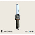 BMW GROUP F20 F30 G30 SPARK PLUG SET/2PCS (12120040551)(12120041666)